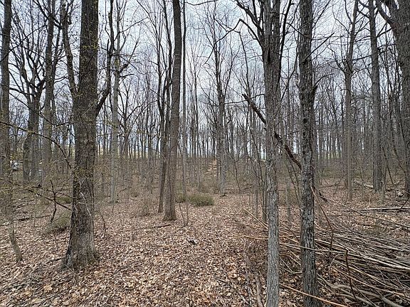 3rd image of Woodland Dr