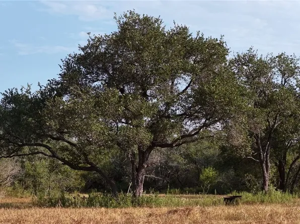 251 Old Goliad Rd, Refugio, TX 78377