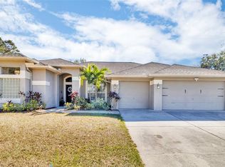 12028 Timberhill Dr, Riverview, FL 33569