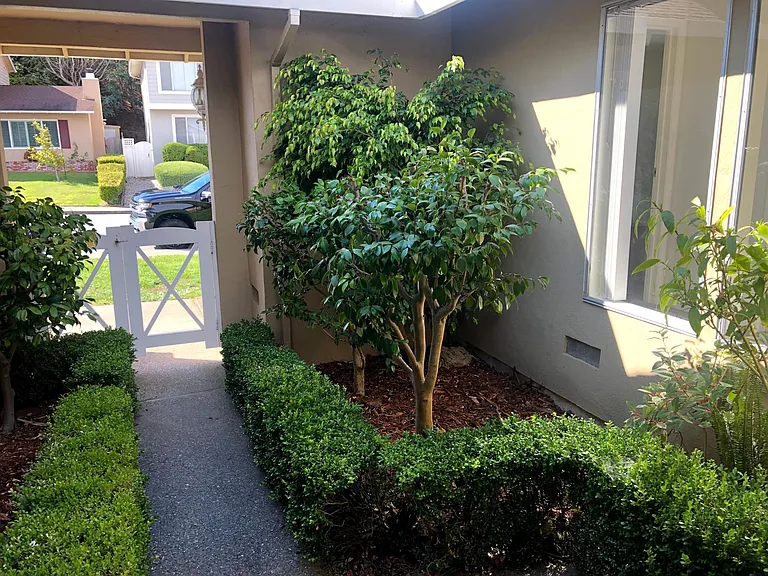 Entry Courtyard