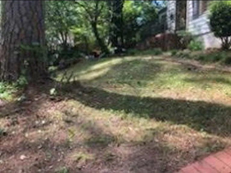 1004 Pine Hill Rd — Photo 23