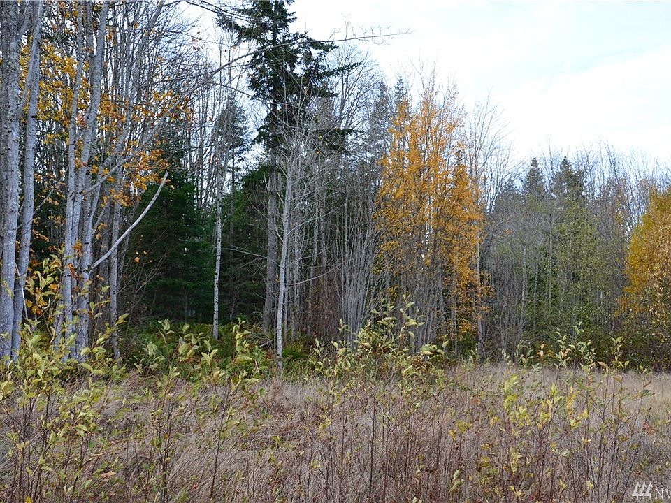 31 Goldenview Dr, Chimacum, WA 98339 Zillow