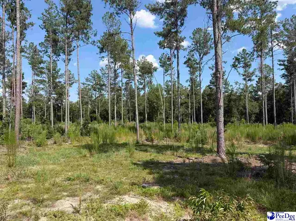 Ebenezer Rd, Bennettsville, SC 29512