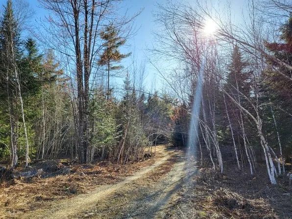 Lot 17 M14 L15-3 Coburn Road, Carthage, ME 04224
