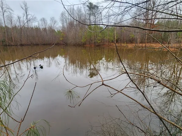 Tbd Flat Rock Rd, Alberta, VA 23821