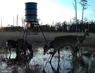 1st image of 7 Mount Vernon Rd