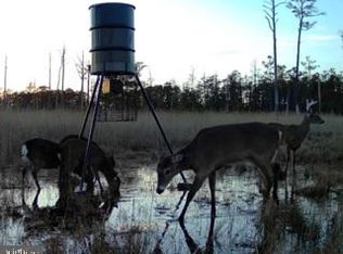 7 Mount Vernon Rd, Princess Anne, MD 21853