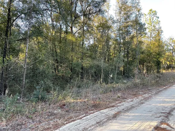 NE 110th Ave, Bronson, FL 32621