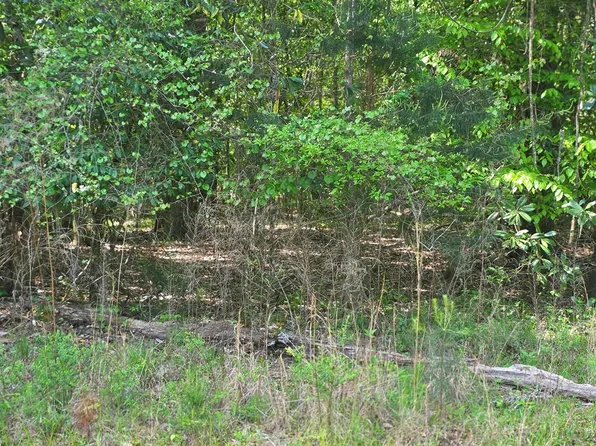 0 W Sandy Dr, Georgetown, GA 39854