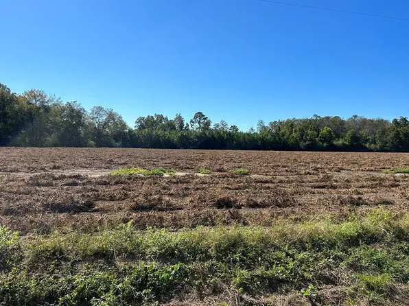 5 Ac Lot 8, Cottonwood, AL 36320