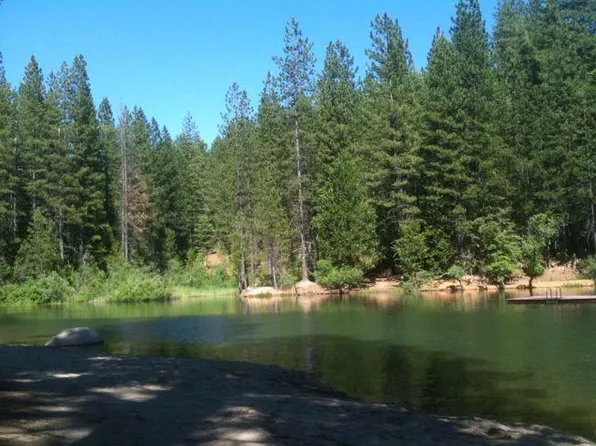 24212 Red Cedar St, Twain Harte, CA 95383