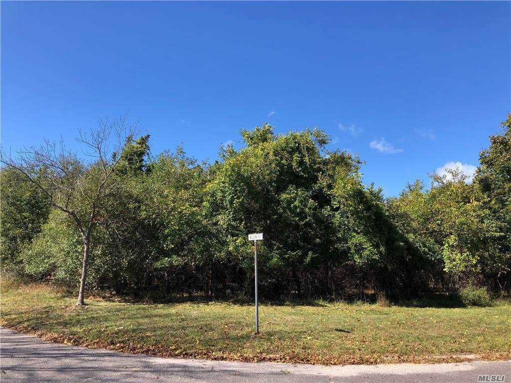  Corner of Willow & Cedar Dr