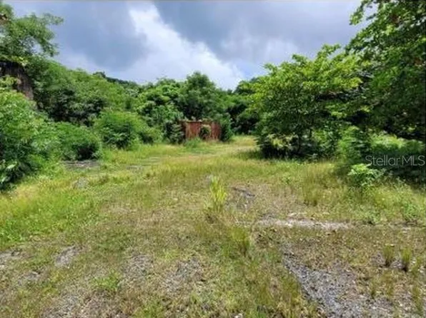 Felipe La Voz Rodriguez, Guaynabo, PR 00969