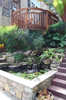 Koi Fishpond with Waterfall