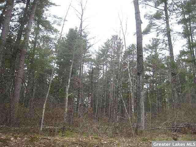 1st image of Lot 6 S Bass Lake Drive