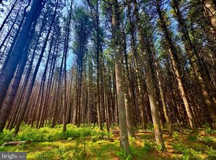 Compressor Station Rd, Bruceton Mills, WV 26525