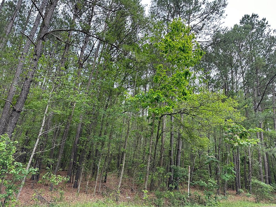 2nd image of 2 Mallard Rd