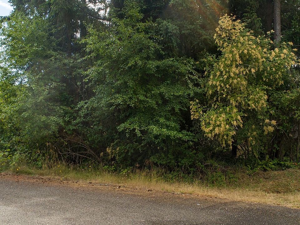 9999 May Street, Pt Hadlock, WA 98339 MLS 2142929 Zillow