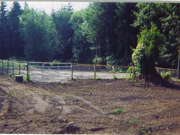 horse paddock (sand)