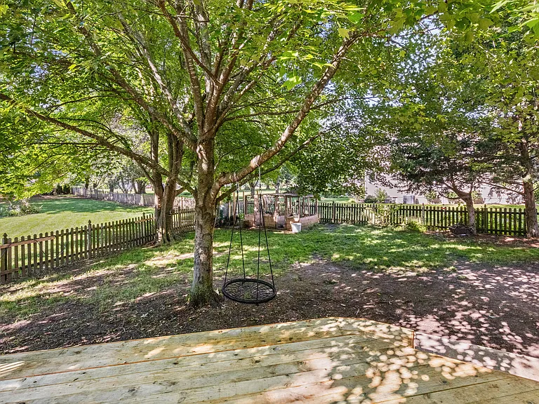 Shaded Back yard