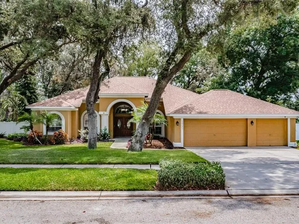 10131 Paddock Oaks Dr, Riverview, FL 33569