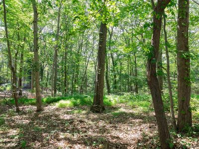 Belle Terre Road, Pt Jefferson, NY, 11777