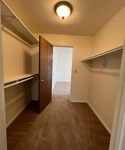 323 Norbeck Ct — Photo 6