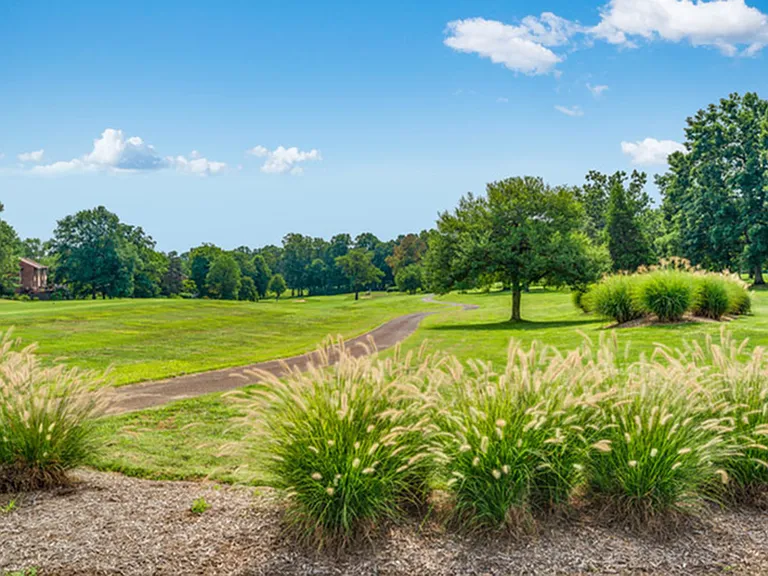 Easy Access to Several Jogging and Bike Paths, Including the Washington & Old Dominion Railroad Regional Park Trail