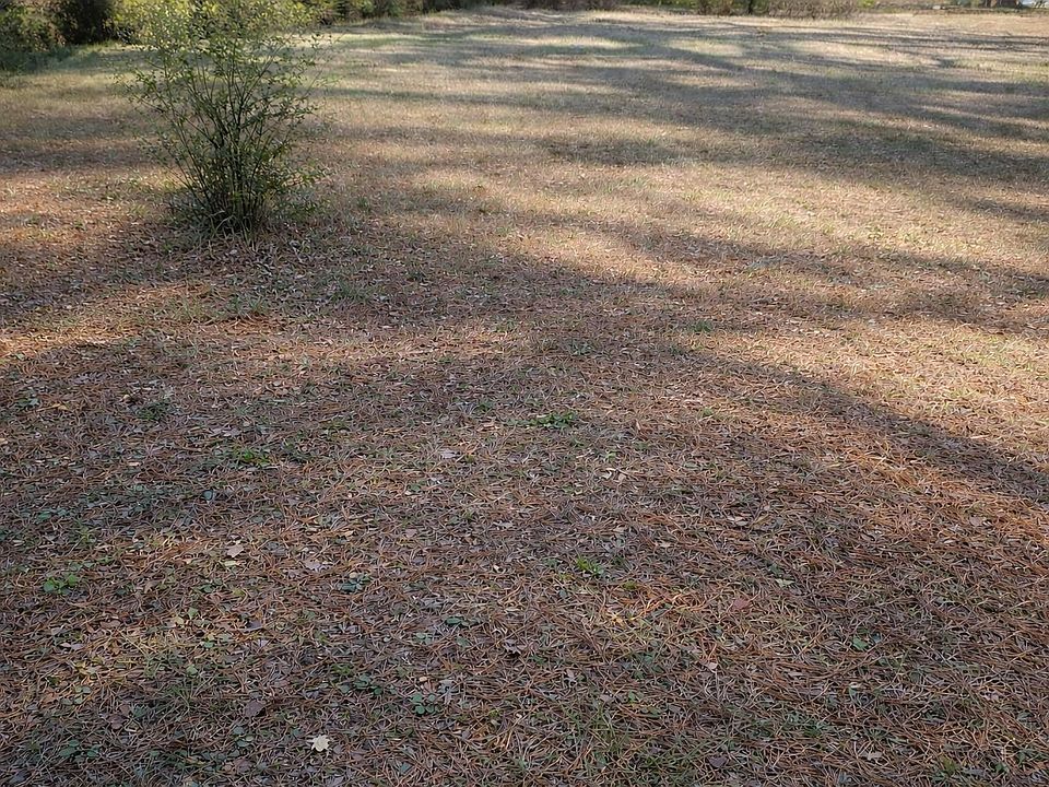 2nd image of 524 Roebuck Forest Dr