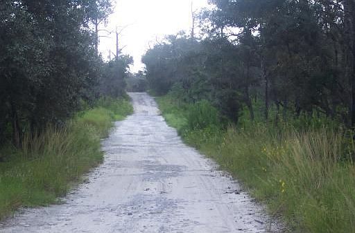 OAK RIDGE DRIVE