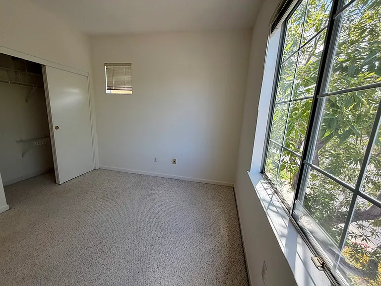 175 Images Cir — Photo 19