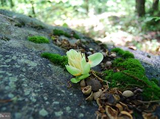 Loop Rd, Gerrardstown, WV 25420