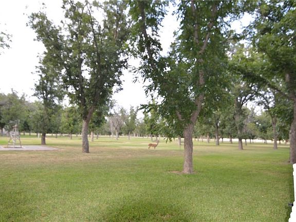 VIEW OUT BACK WITH DEER, ENTIRE BACK IS FENCED WITH GATES