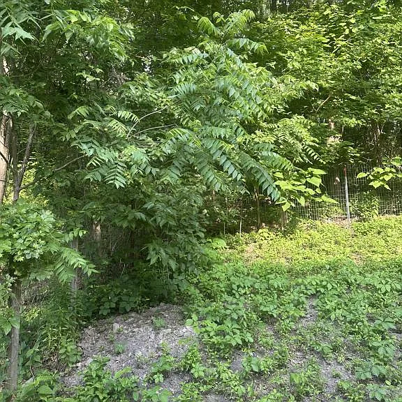 164 N Park St — Photo 15