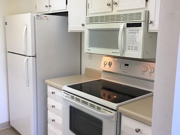 Large fridge and microwave over the glass-top stove.