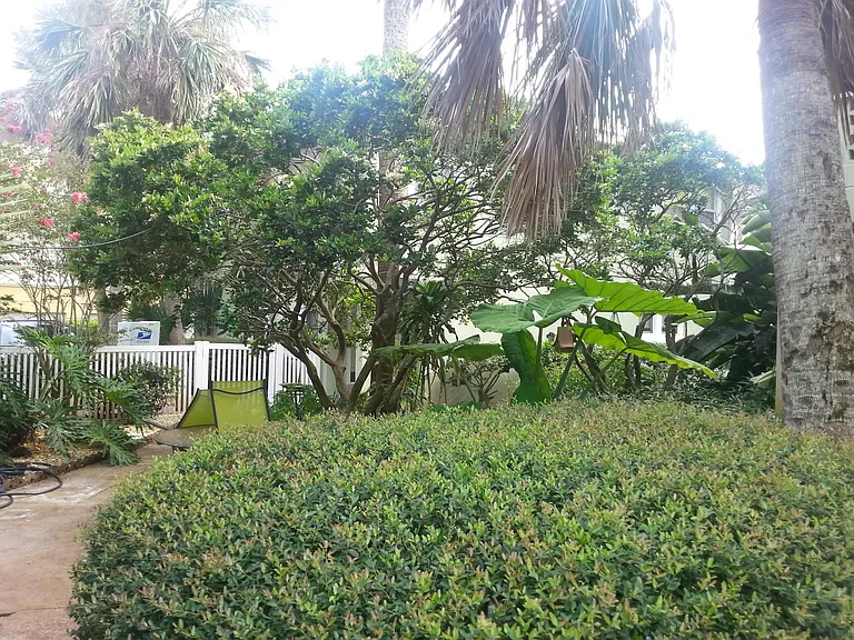REAR COURTYARD AREA