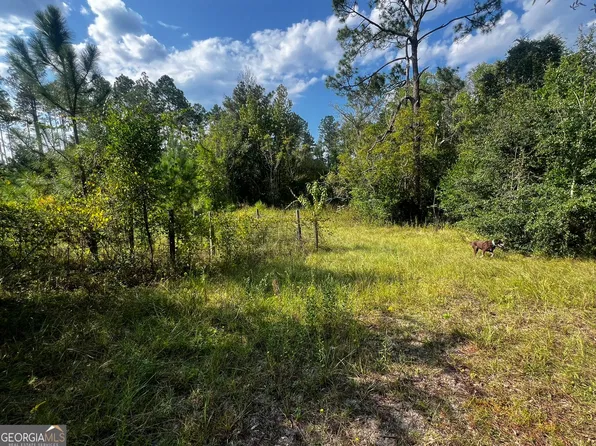 3288 New Hope Rd, Odum, GA 31555