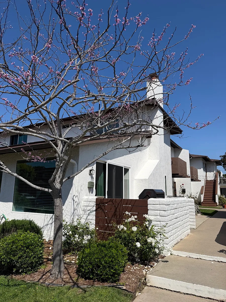 Building Photo - 4126 Hilaria Way #D