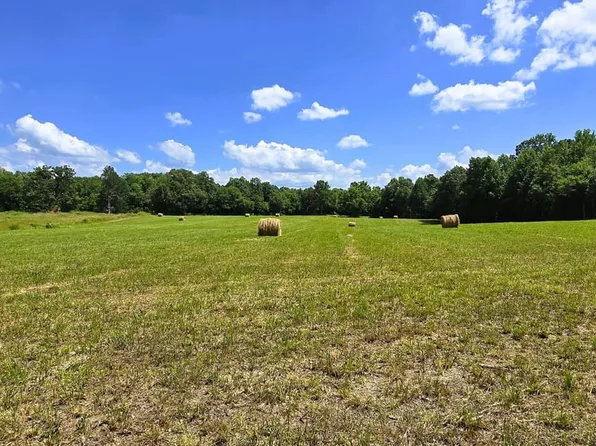 McClendon Rd, Toone, TN 38381