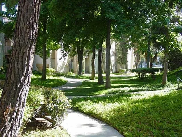 Grounds