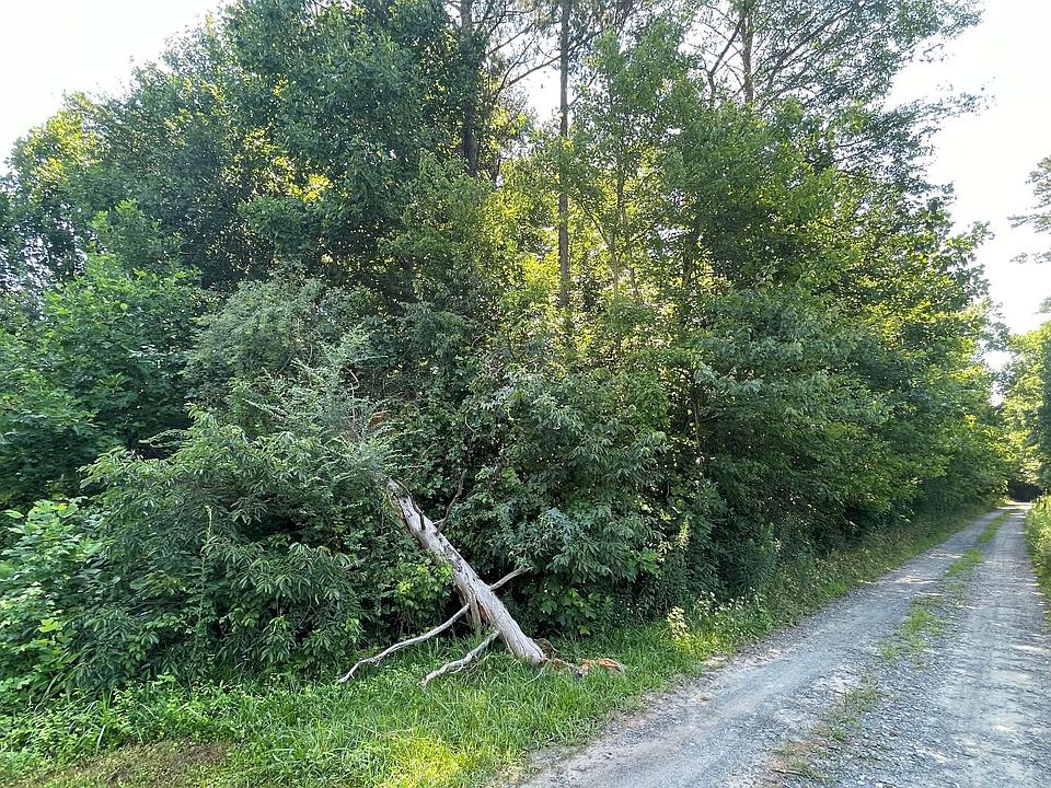 2nd image of Ralston Rd