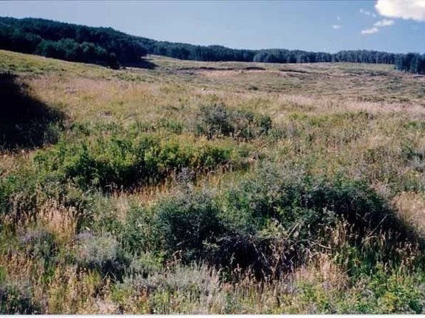 1383 Lariat Rd, Almont, CO 81210