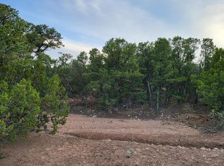 Skyview Ln #8T, Edgewood, NM 87015