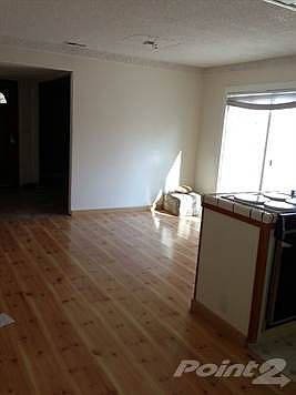 photo1