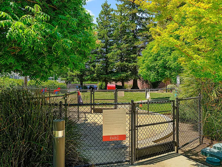 The Parc at Pruneyard — Photo 31