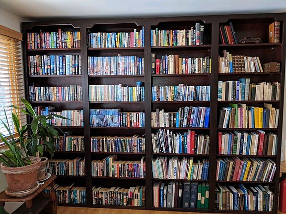 Custom Book Shelves