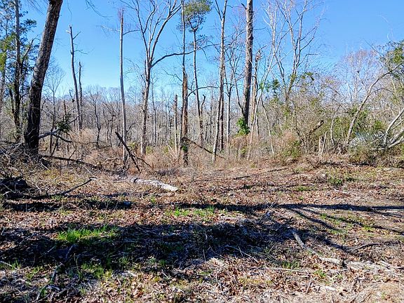 3rd image of None Dead River Rd