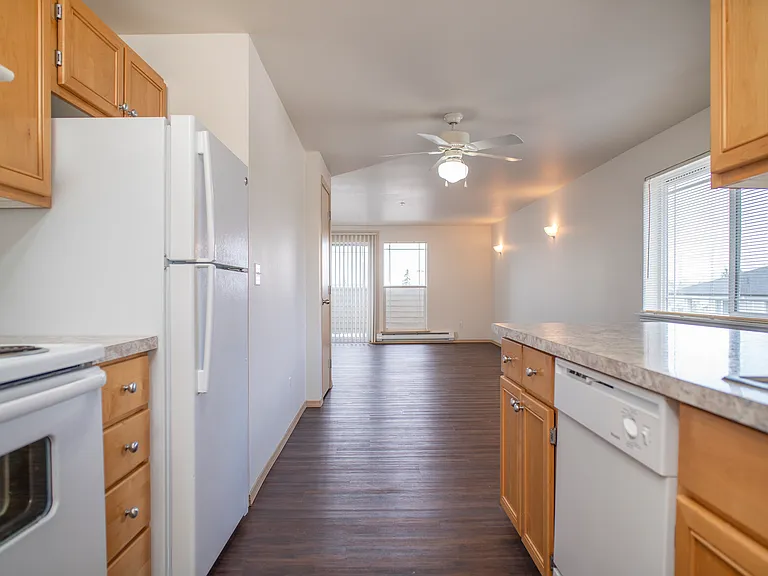 Kitchen Kitchen