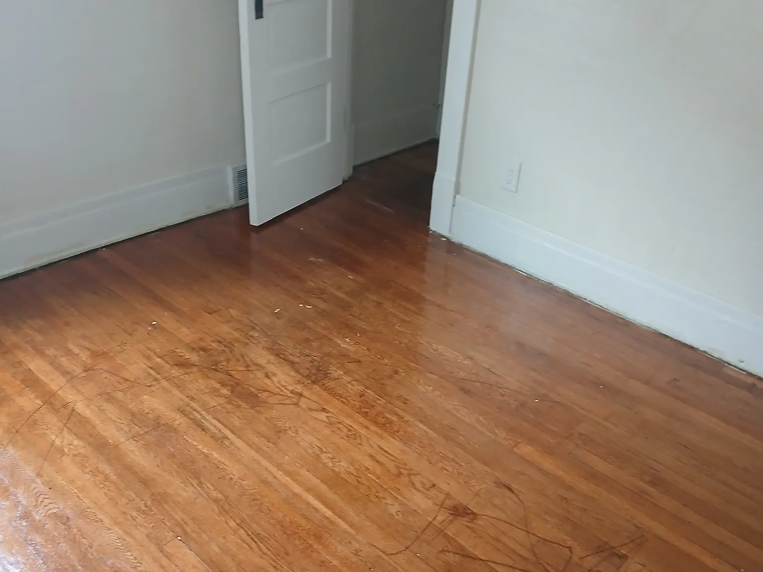 2 bed, 1600 sqft, $1,000 — Photo 2