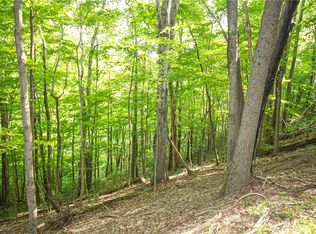 0 Eddy Ridge Rd, Wingett Run, OH 45789